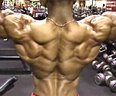 Bodybuilder-David-He