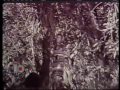 Click here to watch this video Comercial Ru-Ri-Ta - Anos 70