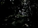La discesa delle Voliere verso Castelleone