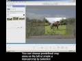 Google Picasa 3 Video 5 - How to Crop an image using Google Picasa