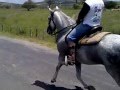 Museu do Espinho Preto.wmv