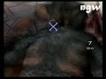 God of War II - Draft Puzzle + Ogre Battle