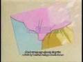 Ranma ½ Opening 6 Mou Nakanaide (Onna Ranma Version)