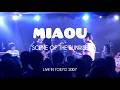 miaou - scene of the sunrise