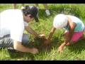 videos de Ecoteca
