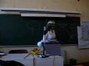 kamme-k�rner