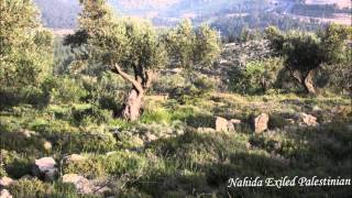 قرية بيت اكسا فلسطين اجمل و أروع الصور