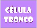 CÉLULA TRONCO