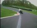 videos de Cadwell Par Shai's kurtzman session and saar