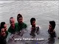 Giant freshwater stingray birth Ban Pakong River Thailand Giant freshwater stingray birth Ban Pakong River Thailand