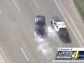 Mustang-Chase