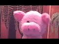 Pet Video Contest #9