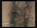 Gornja Radgona 1991