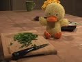 Bird in My Backyard vs. Duckie Bird in My Backyard vs. Duckie