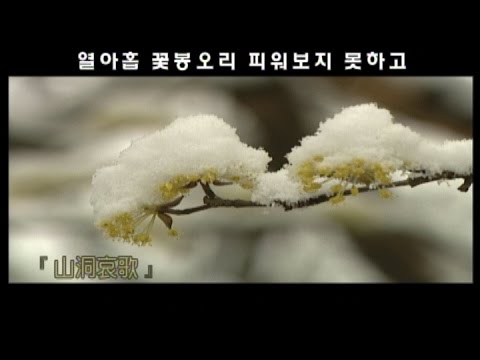 여수MBC 창사 31주년 특집  <아직도 못다부른 노래 > #2..