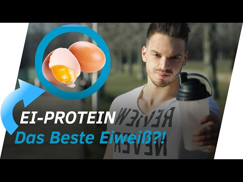 EI(WEIß)-PROTEIN: Vom Abfallprodukt zum Wundermittel | Andiletics