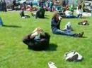 Solar cookers on the Arcata Plaza