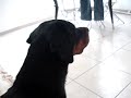 rott ñ curte hip hop rott ñ curte hip hop