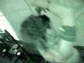 E3 2005: HeadBanger Audio Suite