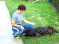 Clickertraining Anfang 2