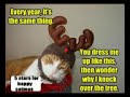 Very Funny Cats
