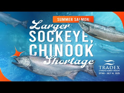 3MMI - Summer Salmon Update: Stronger & Larger Size Sockeye Harvest, Chinook Tracking Toward Record Low