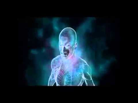 how to grow i q level