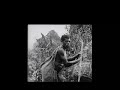 Nature Collection 18 - Mountain Gorilla 1of4 - IMAX - 1991