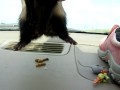 \"Imagine if it had gone into the vent!\"