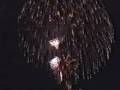 Fantasy in the Sky