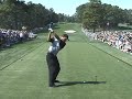 Tiger Woods DTL masters