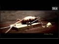 Rato Malhando