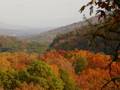 PINNACLE VISTA CABIN AT SMOKY COVE IN PIGEON FORGE