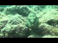 La Paz, Mexico - YouTube