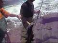 Catch robalo