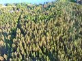 RC Cam on Easy Glider (Fly 1)