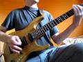 test Witkowski Custom Guitars