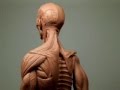 SCULPTURE D'UN ECORCHE EN TERRE
