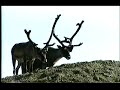 Noorwegen Noordkaap Nordkapp Nordcape Honningsvåg 2004