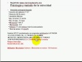 Fisiologia Ejercicio Entrenamiento Deportivo Velocidad 14