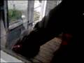 Bloodhound video