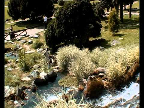 Tesine d’esame Tesine d’esame