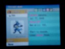 My Pokemon Diamond Team