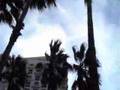 The Palms of the Hotel St. Moritz ~ Miami Beach, Florida