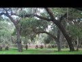 Cow Camp at Lake Kissimmee State Park - YouTube