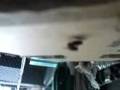 Citiscape garrage scandal