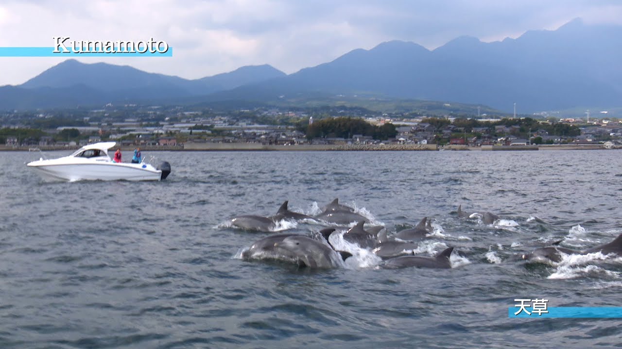 熊本県 天草-パラダイスクルーズ編