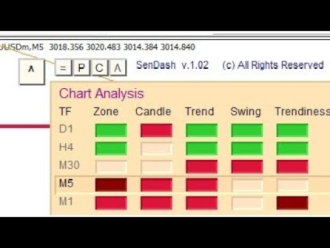 SenDash Auto Trade System