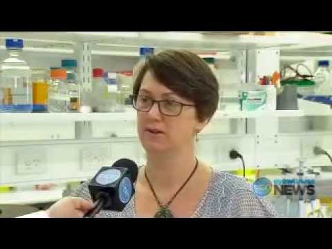 how to cure qld itch