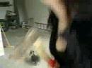 krwawa masakra tegorocznego lata
